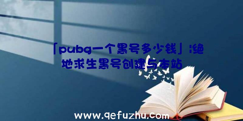 「pubg一个黑号多少钱」|绝地求生黑号创建与本站